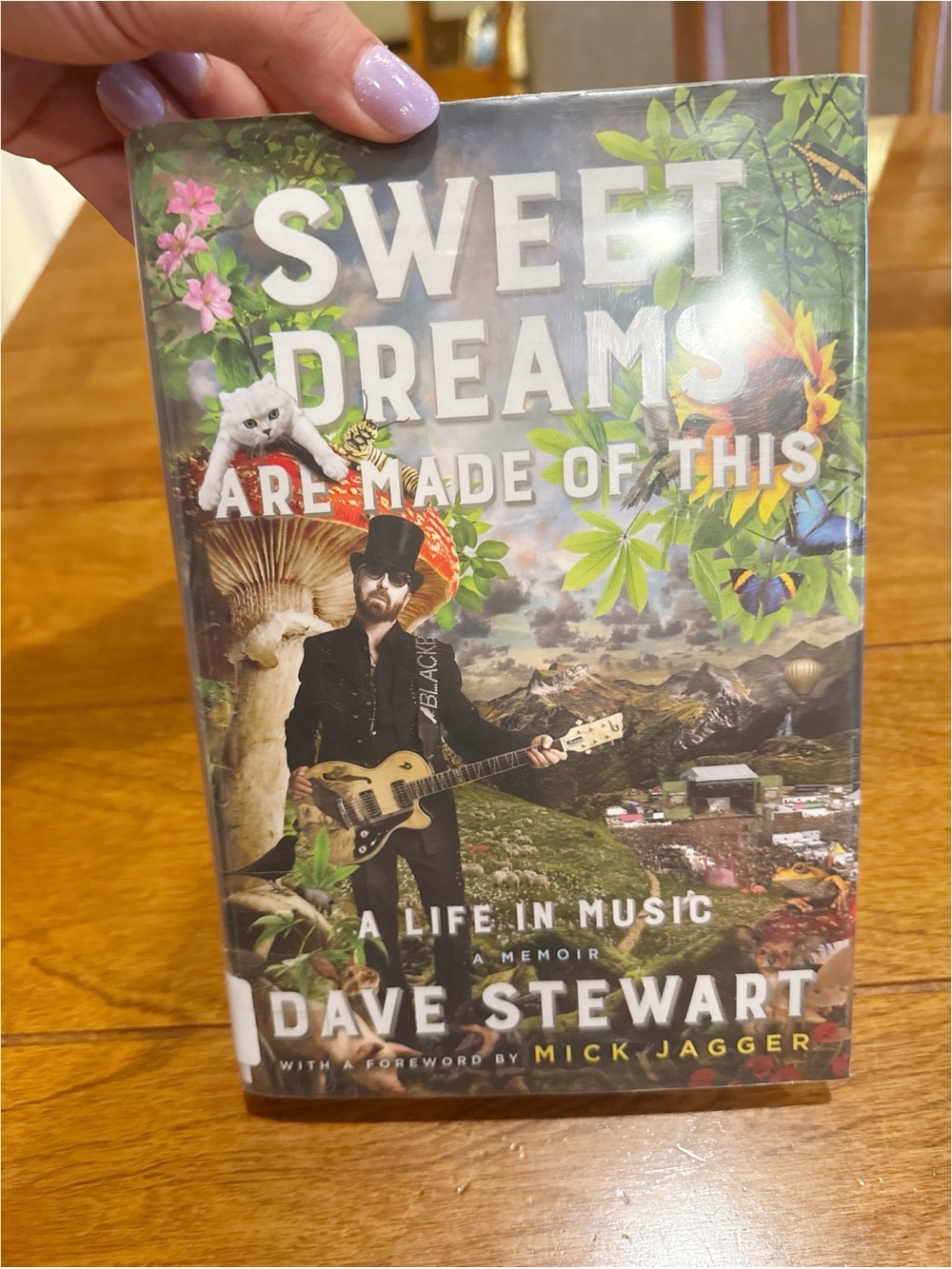 Sweet Dreams Are Made of This: A Life in Music, a memoir by Dave Stewart